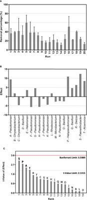 Oil-degrading bacterial consortium from Gulf of Mexico designed by a factorial method, reveals stable population dynamics